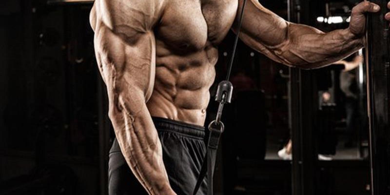 O poder de transformação e benefícios da musculação na vida do homem